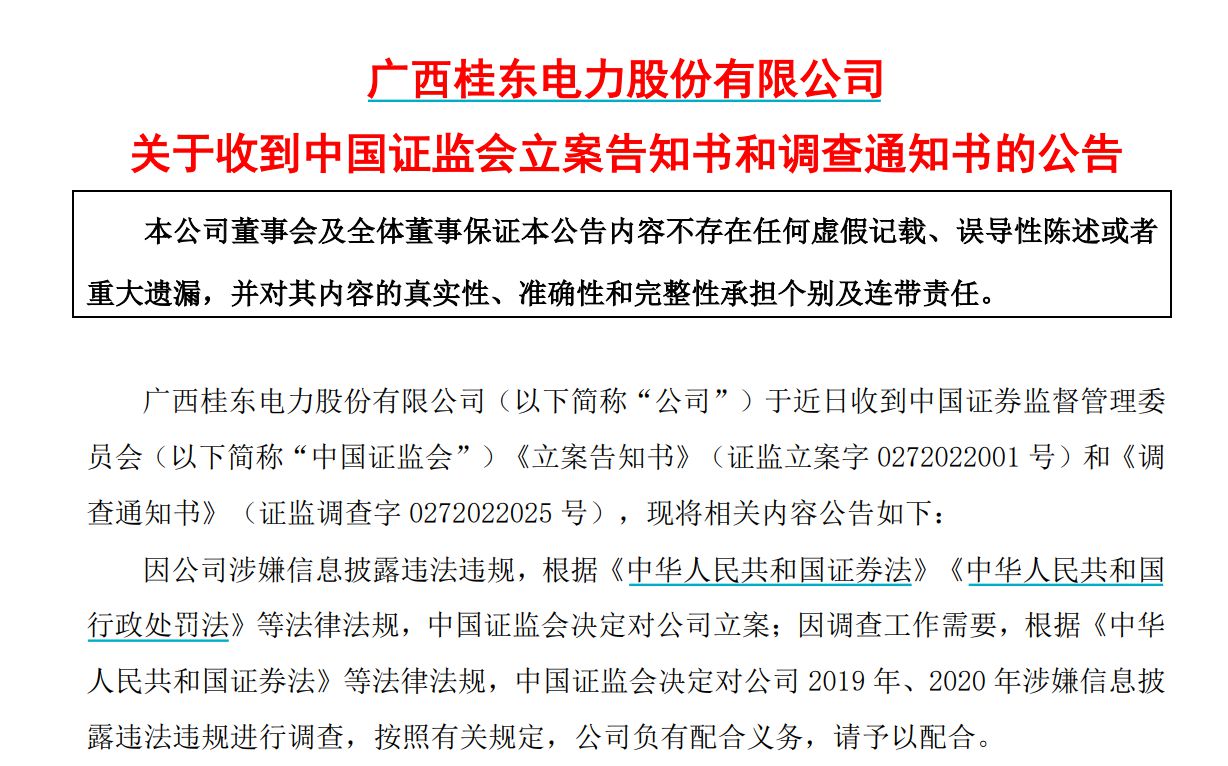 桂东电力深化社会责任，引领绿色能源转型新篇章